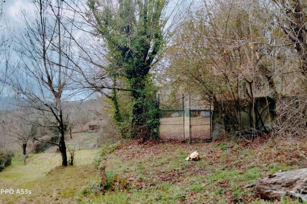 Confort, Fun And Leisure In Douro Rural Space Sande  Extérieur photo