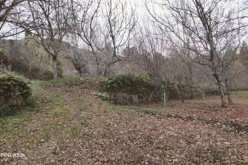 Confort, Fun And Leisure In Douro Rural Space Sande  Extérieur photo