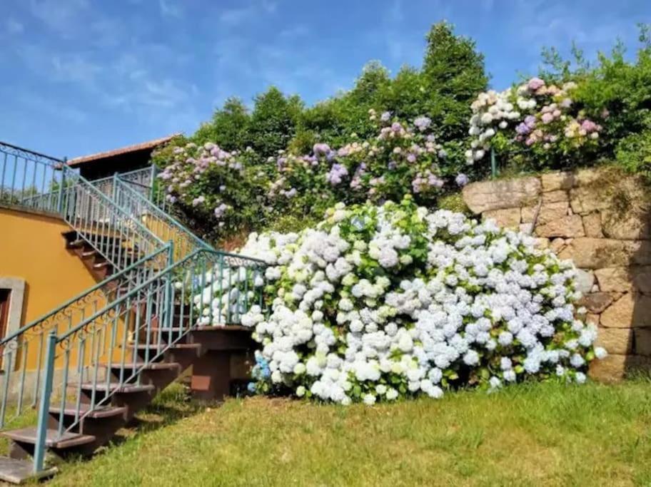 Confort, Fun And Leisure In Douro Rural Space Sande  Extérieur photo
