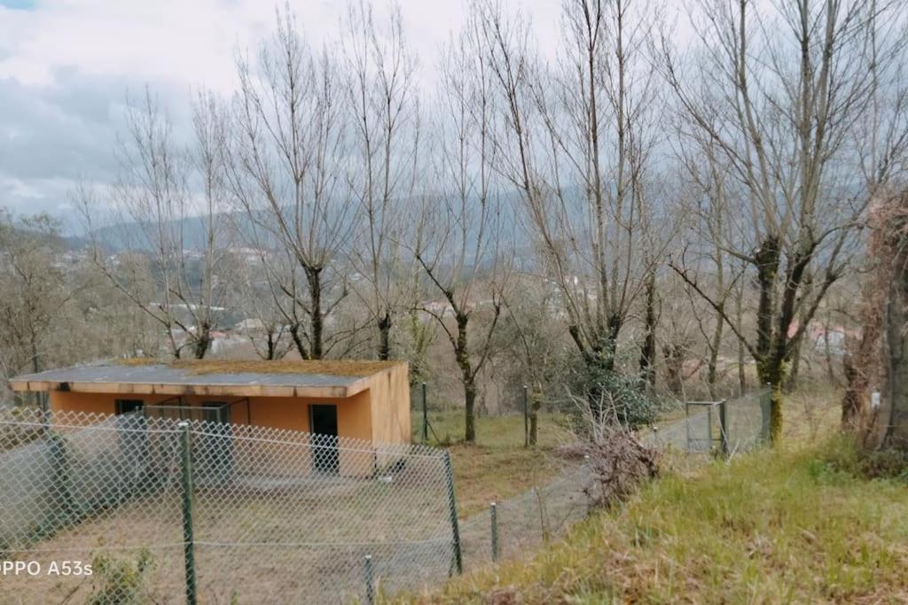 Confort, Fun And Leisure In Douro Rural Space Sande  Extérieur photo